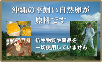 hiragaibn